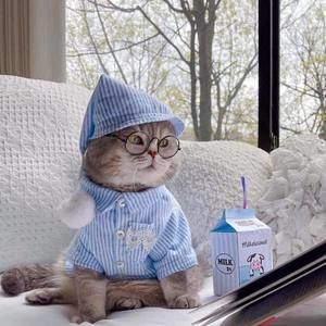 Meet your Posher, Mina